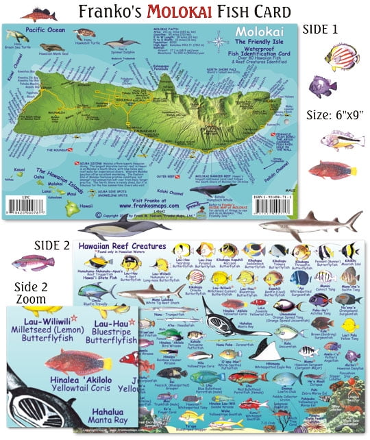 Waterproof Fish Id Cards